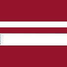 Pinewood Derby Pin Stripe Pinstriping - White 1/2"